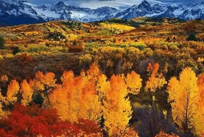 627 jigsaw puzzle