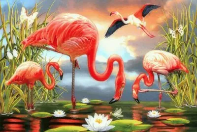 65 drzfc 53esx jigsaw puzzle