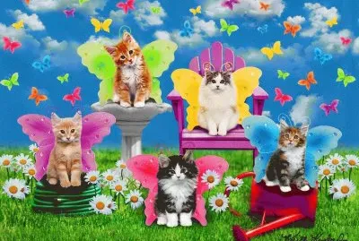 dc65edr fv jigsaw puzzle