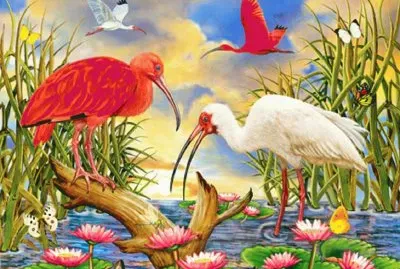 786f56 r54e dr jigsaw puzzle