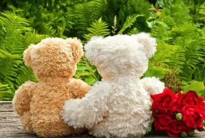 tf57gv bv7waregfcv n