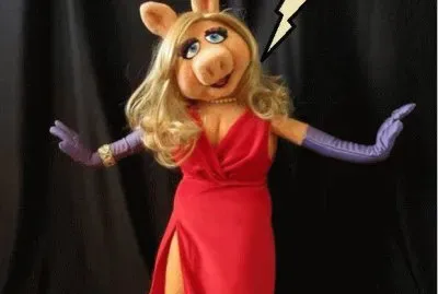 ×ž×™×¡ ×¤×™×’×™