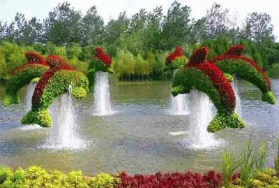 animais  de  flores