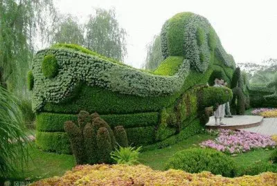 animais  de  flores jigsaw puzzle