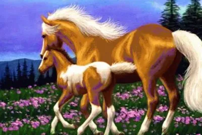 cavalos jigsaw puzzle