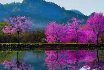 paisagens jigsaw puzzle