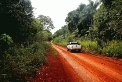 En la RN101. Misiones. Argentina