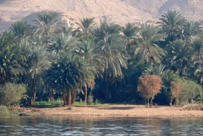 RÃ­o Nilo. Egipto