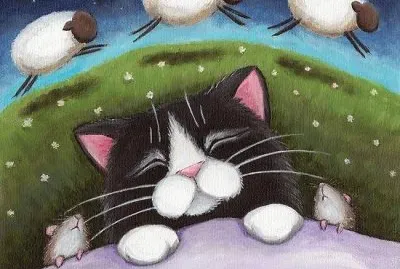 gatito