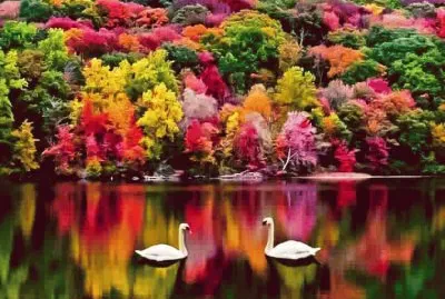 summer-107 jigsaw puzzle