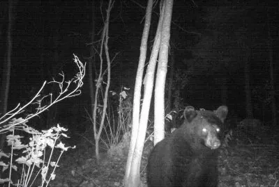 If I come at night, maybe then he won  't see me!