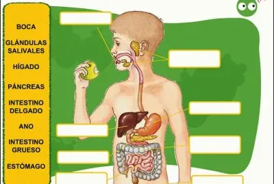 פאזל של alumnos