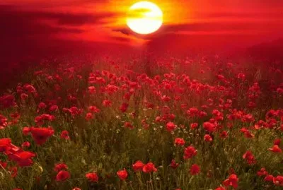 entardecer