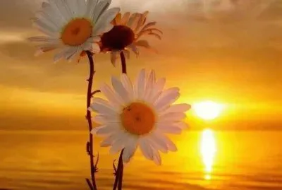 entardecer