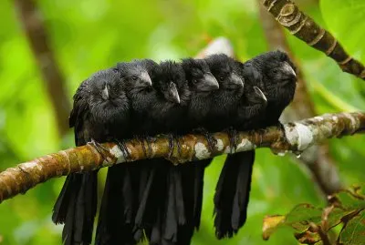 darse calor jigsaw puzzle