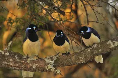 momento difÃ­cil jigsaw puzzle