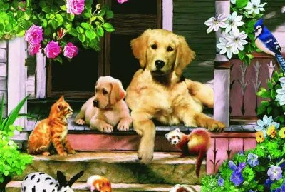 765 43serzcvuiuo jigsaw puzzle