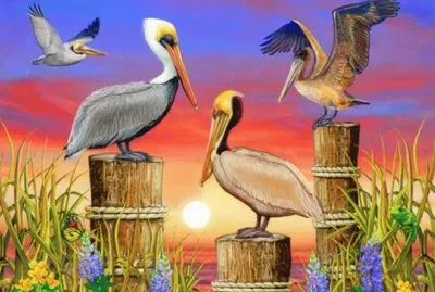 ui trtd izgf jigsaw puzzle