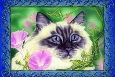 rd ztes  cfhges dxfbtdf jigsaw puzzle
