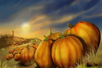 nov4