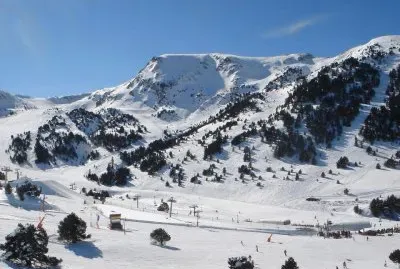 NEVE