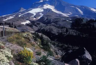 NEVE