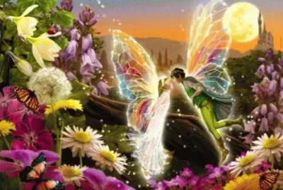 fantasia jigsaw puzzle