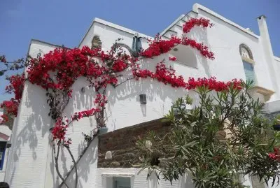 פאזל של grecia