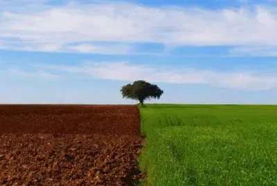 Natureza jigsaw puzzle