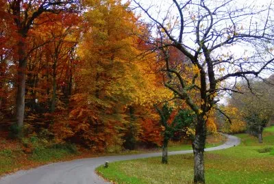 prÃ¨s du chÃ¢teau de Gorgier