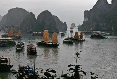 vn10