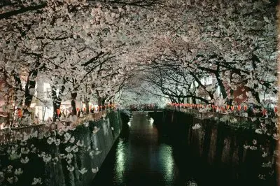 פאזל של paisagens