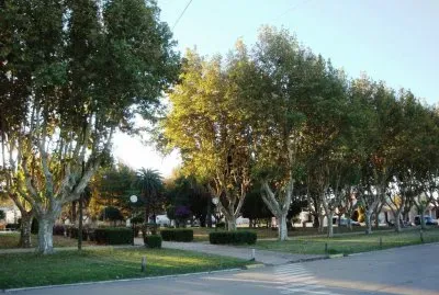 Sanford. Santa Fe. Argentina