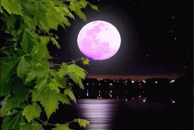 paisagens jigsaw puzzle