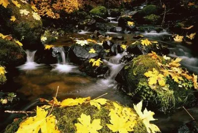 paisagens