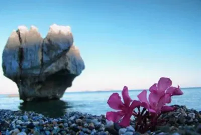 Natureza