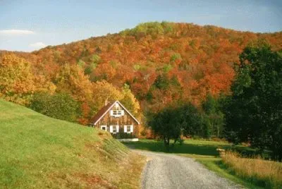 Natureza jigsaw puzzle