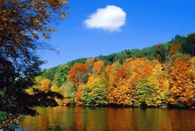 Autumn Lake
