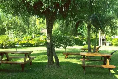 En FederaciÃ³n. Entre RÃ­os. Argentina jigsaw puzzle