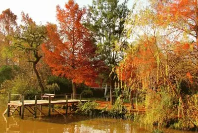En el Delta. Buenos Aires. Argentina