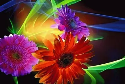 d56 r e dfgf jigsaw puzzle