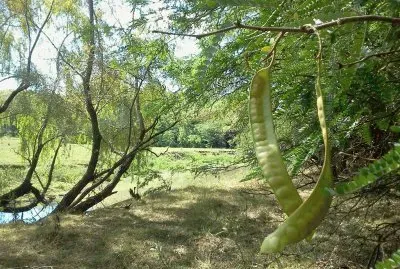 En la Provincia de Entre RÃ­os. Argentina