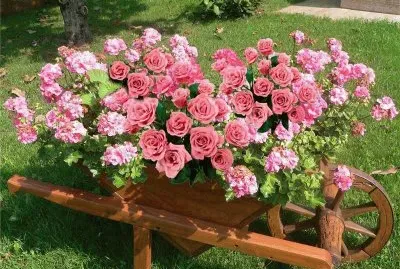 flor