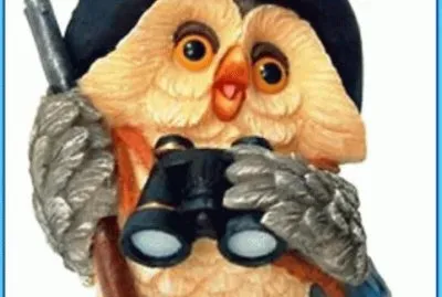 civette jigsaw puzzle