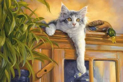 gato jigsaw puzzle