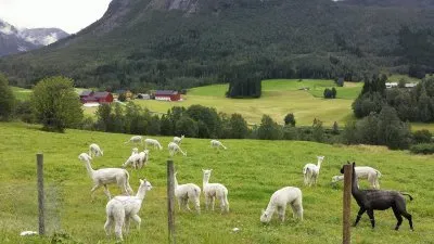 פאזל של paisagens