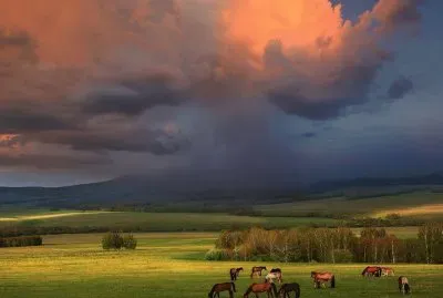 paisagens