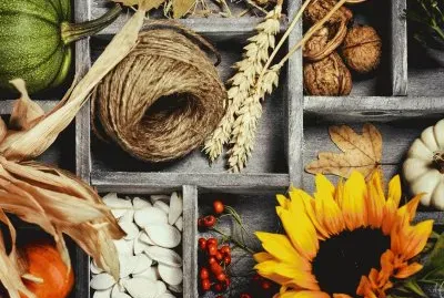 7t67tt7t67tt7t7t7ugh