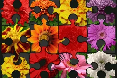 nciut  tr  gvbvgf  gfvg jigsaw puzzle