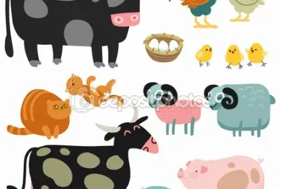 vaca